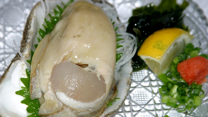 【磯がきプラン】飯岡浜の天然岩牡蠣(磯カキ)。海のミルクを堪能！